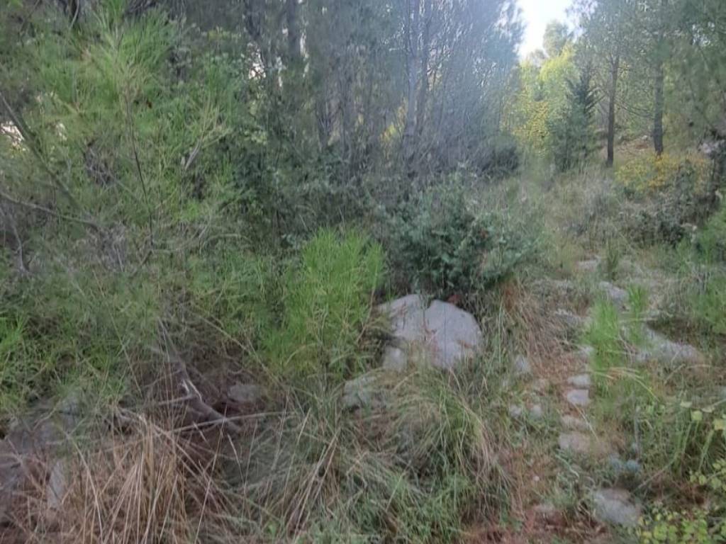 Građevinsko zemljište, Prodaja, Starigrad, Starigrad