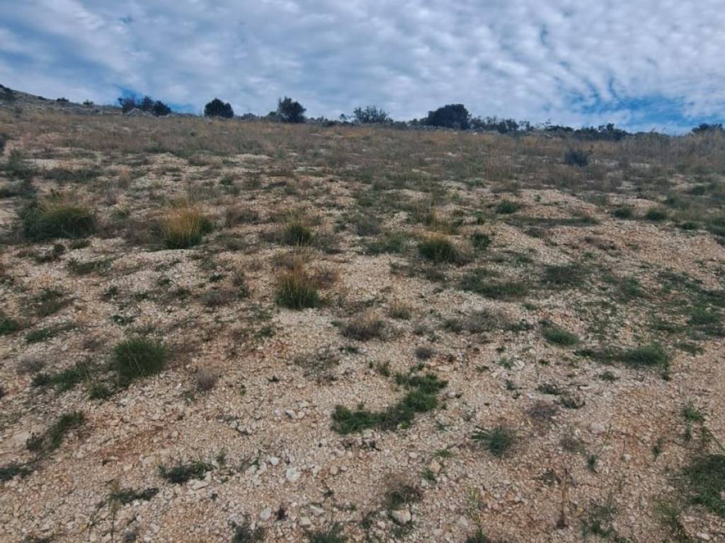 Zemljište - ostalo, Prodaja, Rogoznica, Jarebinjak