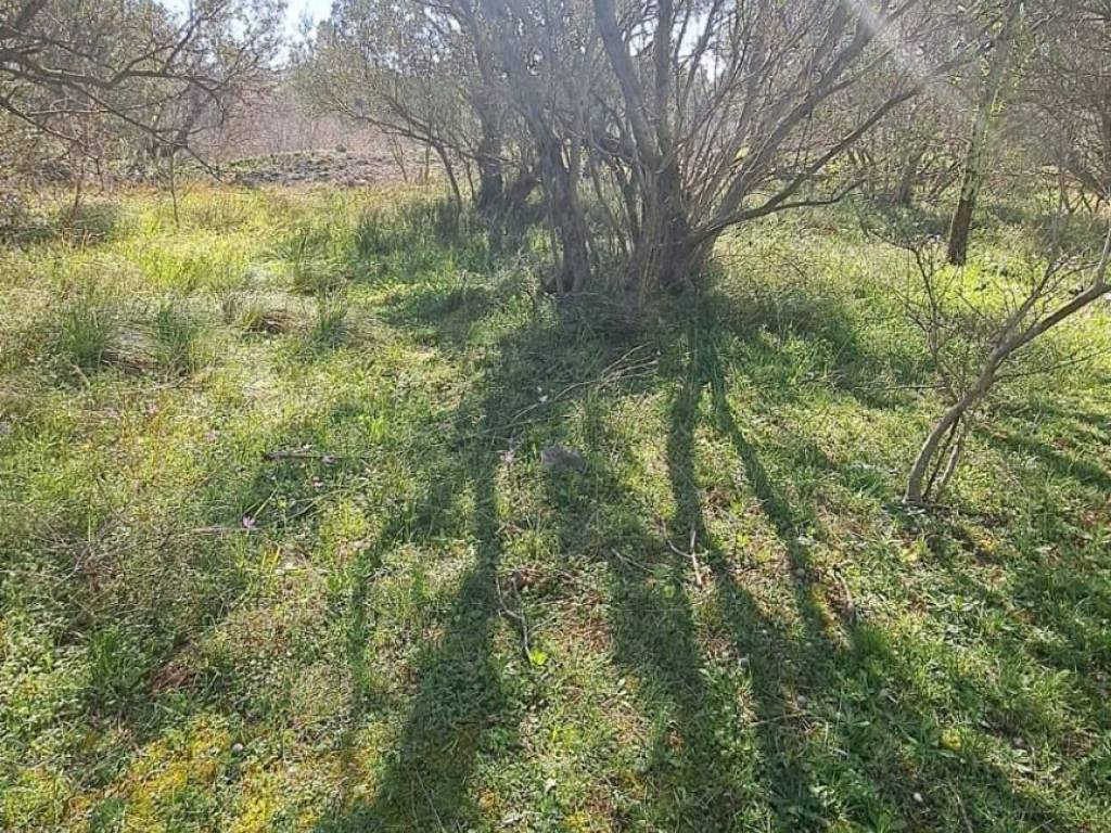 Građevinsko zemljište, Prodaja, Starigrad, Seline