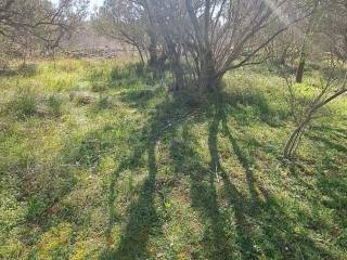Građevinsko zemljište, Prodaja, Starigrad, Seline