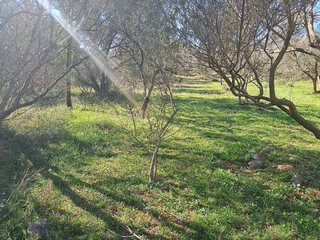 Građevinsko zemljište, Prodaja, Starigrad, Seline