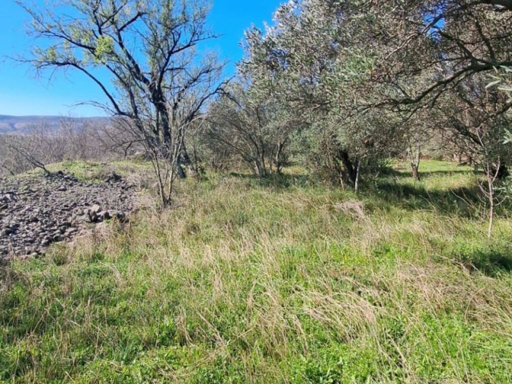 Građevinsko zemljište, Prodaja, Starigrad, Seline