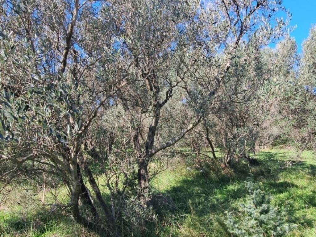 Građevinsko zemljište, Prodaja, Starigrad, Seline