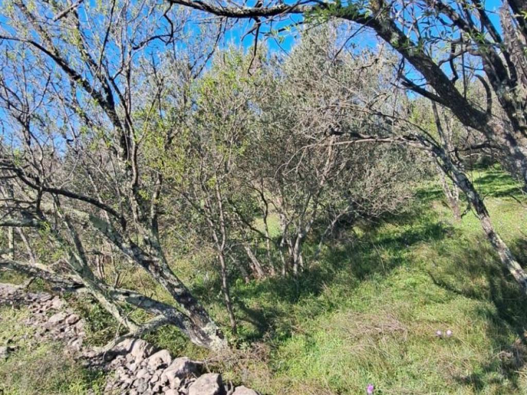 Građevinsko zemljište, Prodaja, Starigrad, Seline