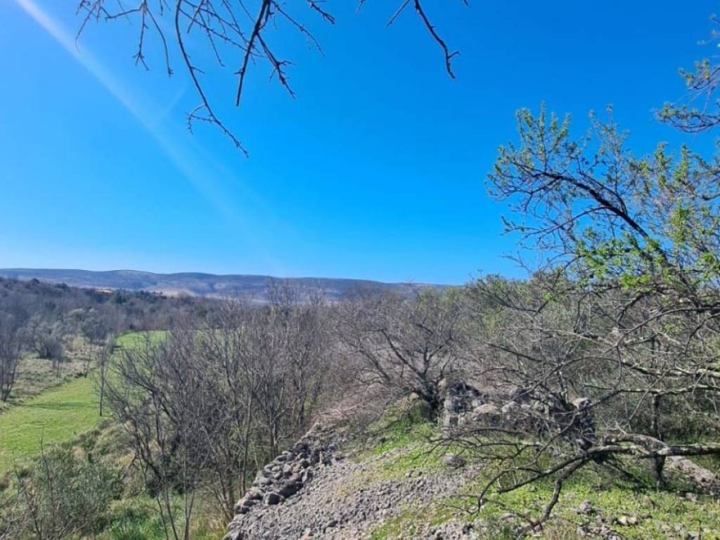 Građevinsko zemljište, Prodaja, Starigrad, Seline