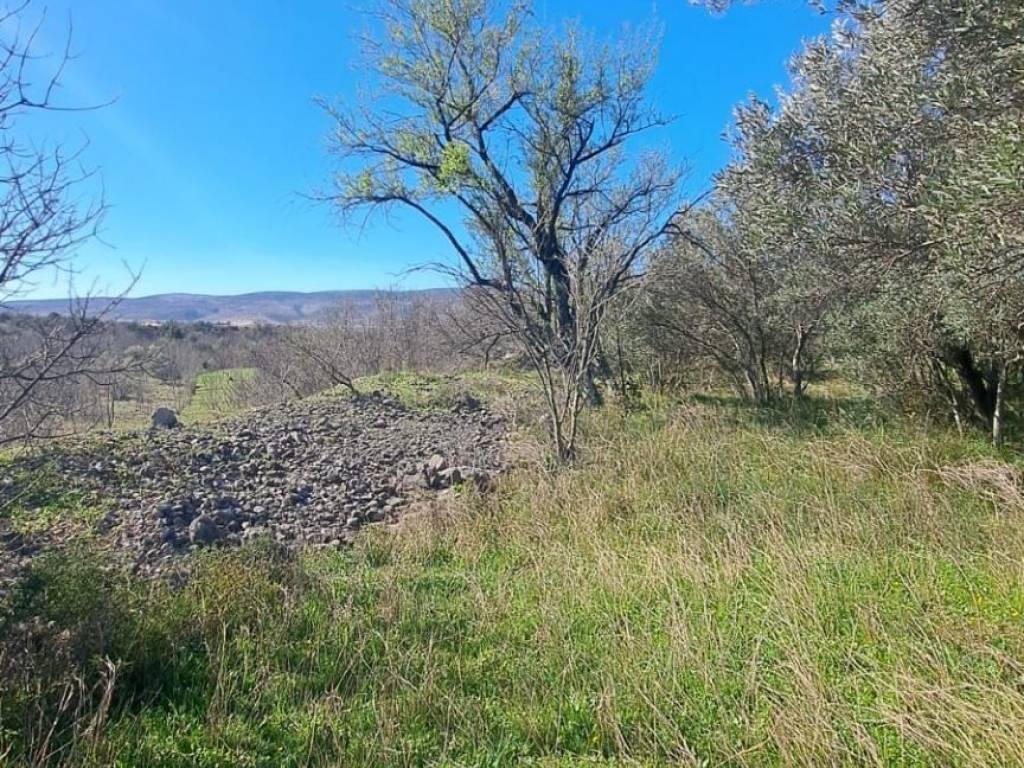 Građevinsko zemljište, Prodaja, Starigrad, Seline