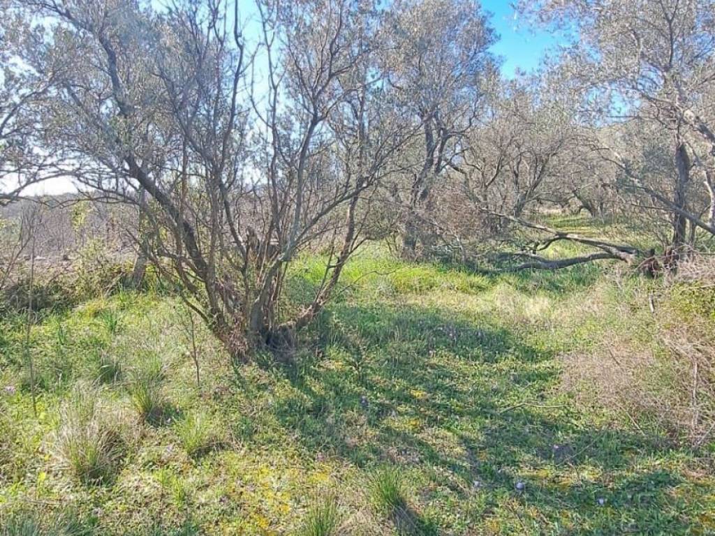 Građevinsko zemljište, Prodaja, Starigrad, Seline