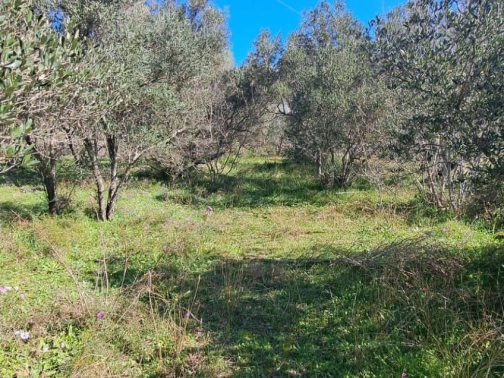 Građevinsko zemljište, Prodaja, Starigrad, Seline