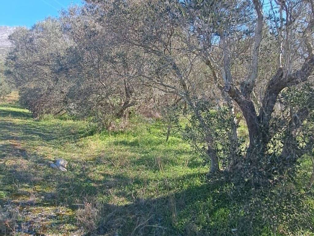 Građevinsko zemljište, Prodaja, Starigrad, Seline