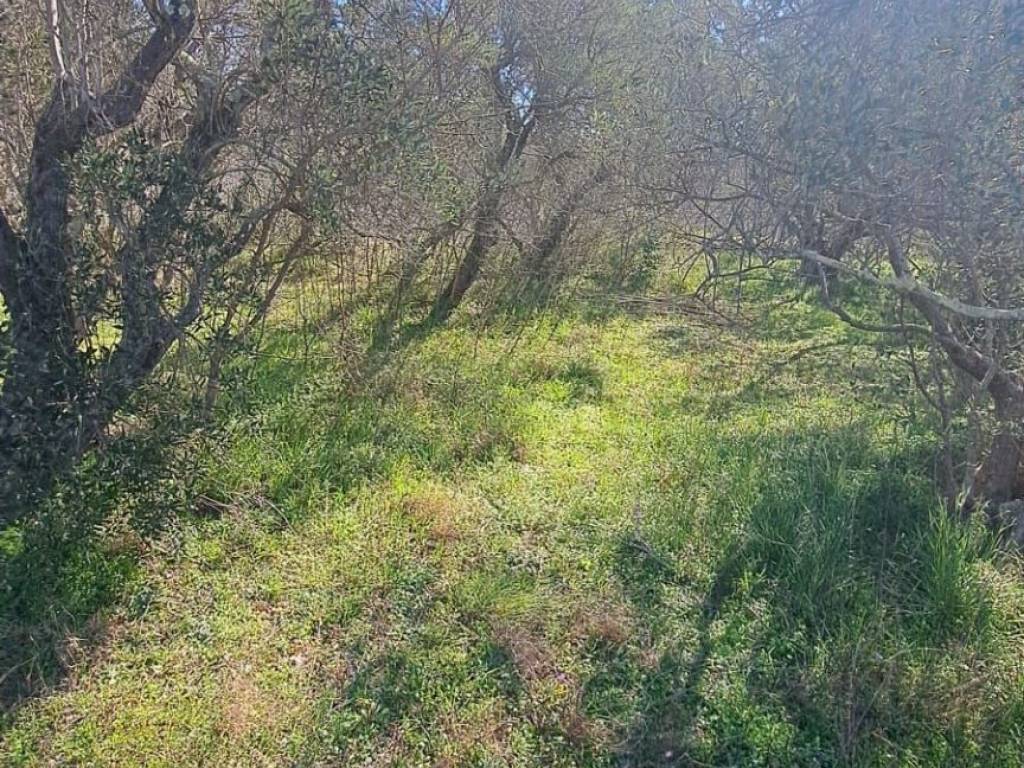 Građevinsko zemljište, Prodaja, Starigrad, Seline