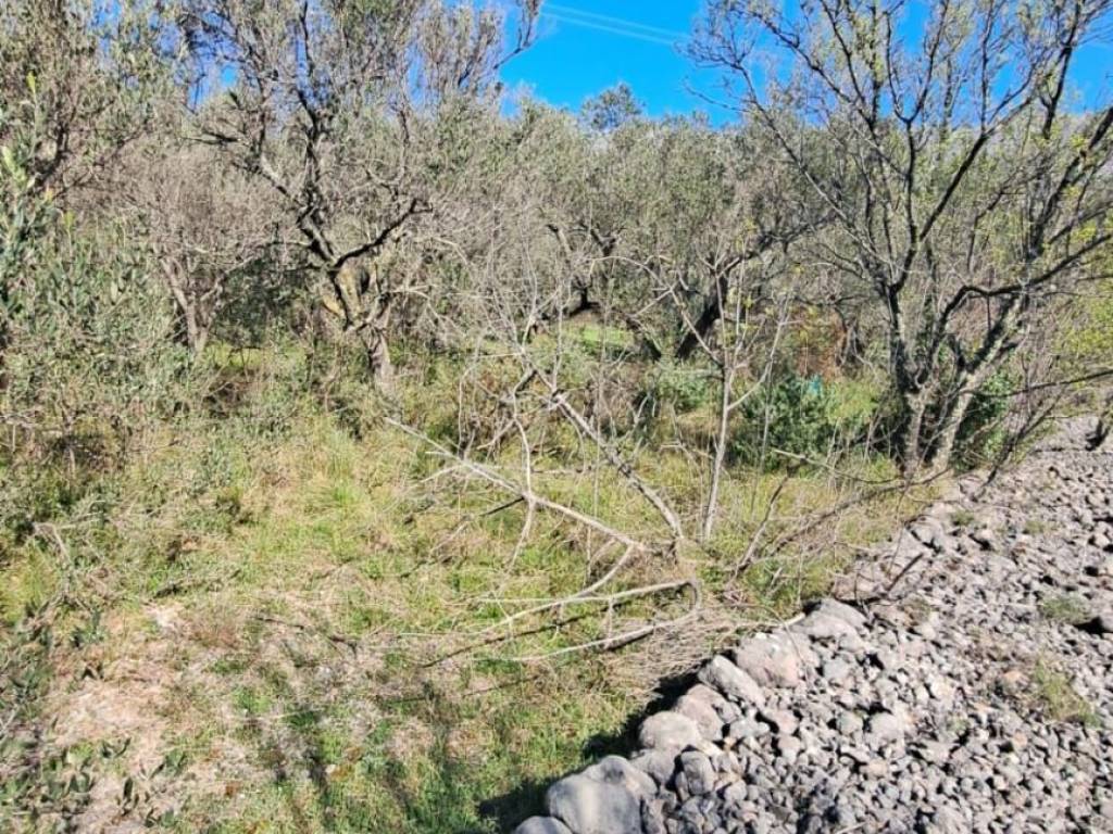 Građevinsko zemljište, Prodaja, Starigrad, Seline