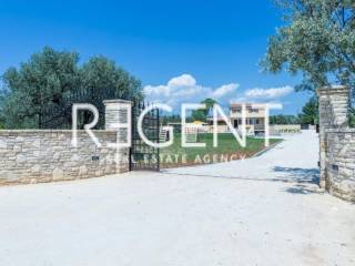 PHOTO-2024-03-04-20-39-42[9]