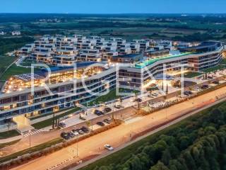 Screenshot 2023-12-12 at 14.35.47