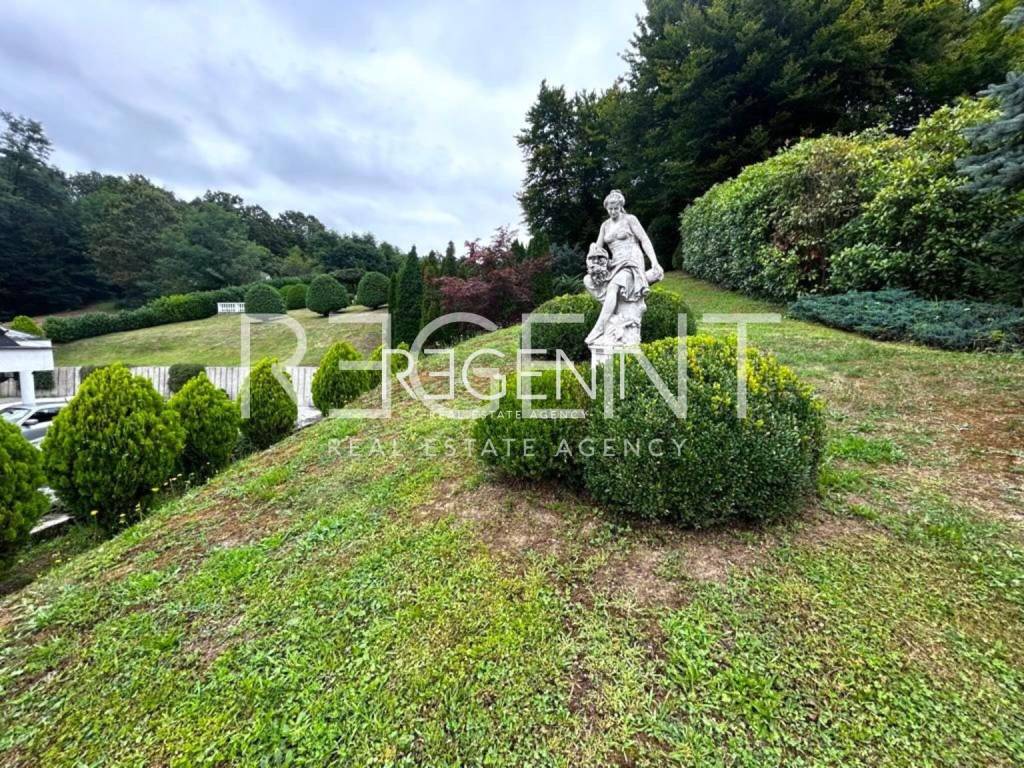 PHOTO-2023-08-04-15-05-22