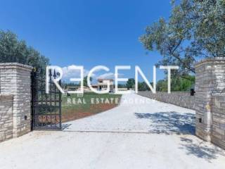 PHOTO-2024-03-04-20-39-39[60]