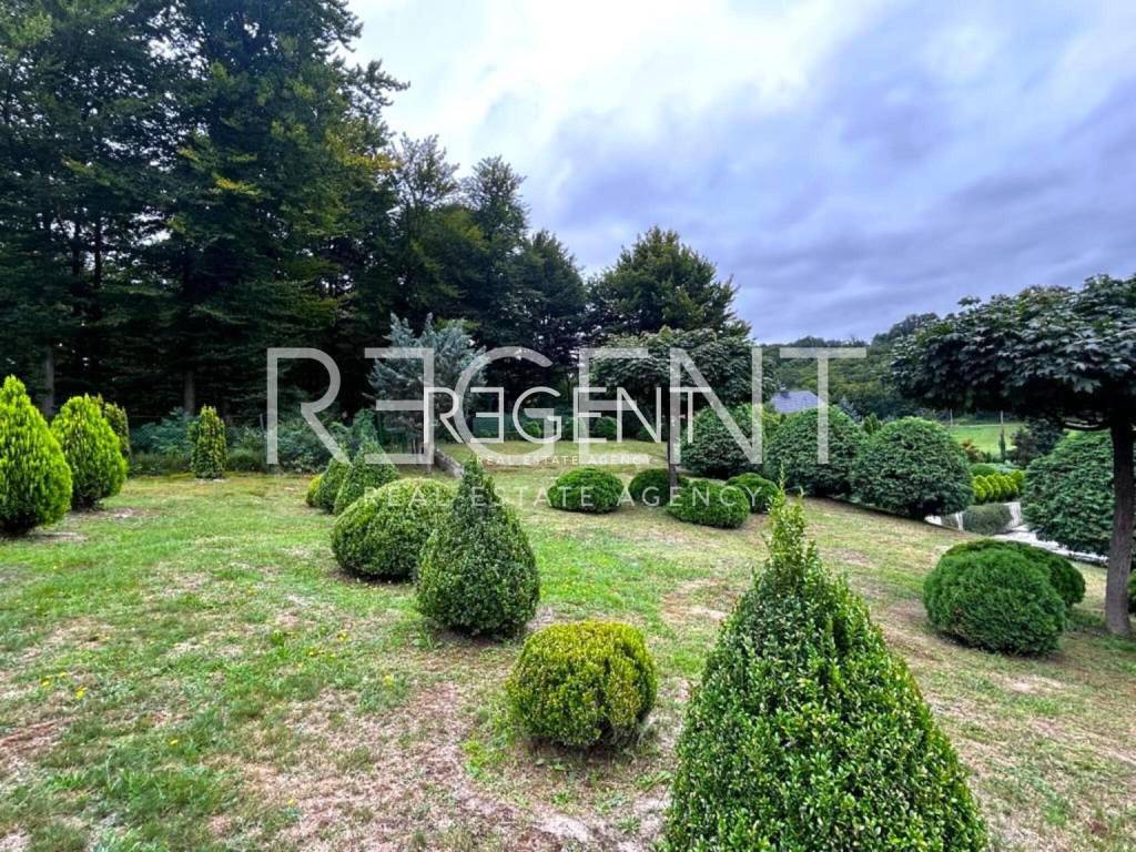 PHOTO-2023-08-04-15-05-22 3