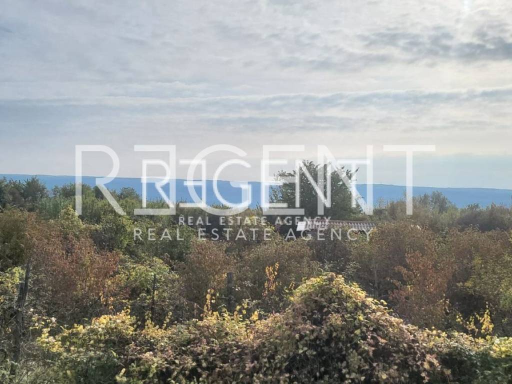 PHOTO-2024-11-11-13-43-40