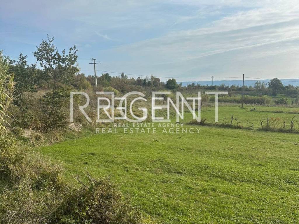 PHOTO-2024-11-11-13-42-58 6