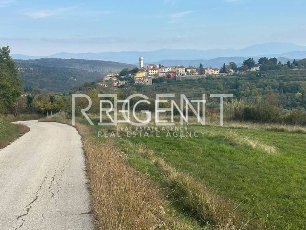 PHOTO-2024-11-11-13-42-59 3