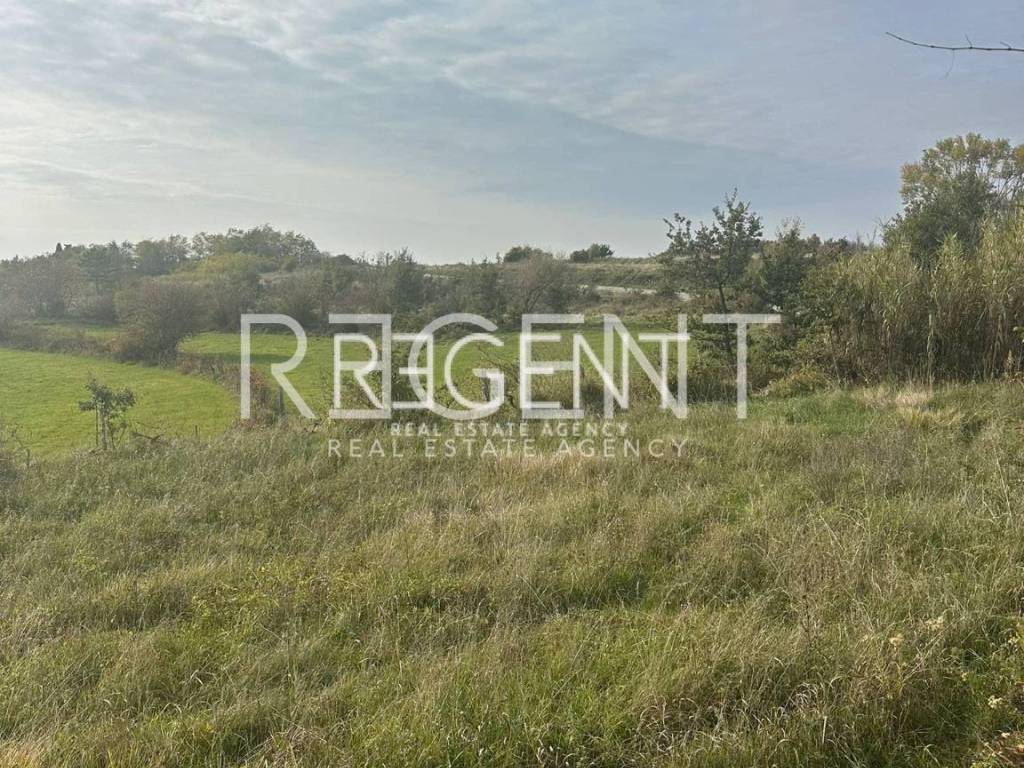 PHOTO-2024-11-11-13-42-58 3