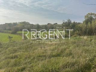 PHOTO-2024-11-11-13-42-58 3