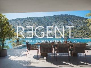 vinisce_C004_v001 (Custom)