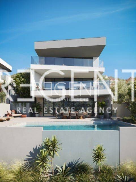 vinisce_C006_v001 (Custom)