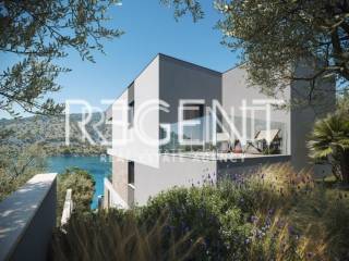 vinisce_C003_v001 (Custom)