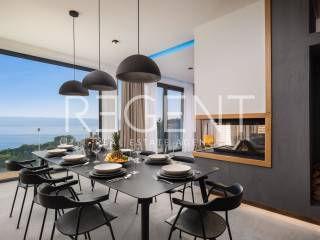 Villa Bura, dnevni boravak i kuhinja 4