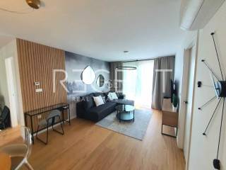 stan-poljanice-zagreb-iznajmljivanje-slika-218916147