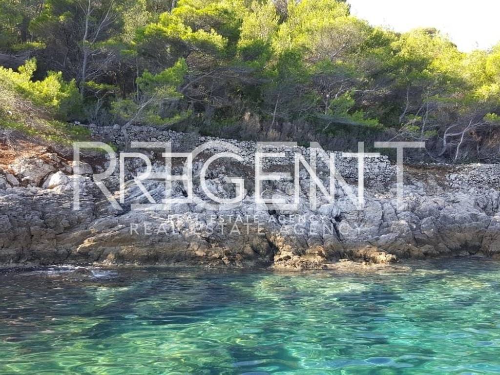 PHOTO-2023-09-04-12-20-12