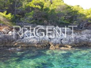 PHOTO-2023-09-04-12-20-12