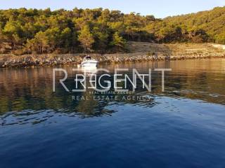 PHOTO-2023-09-04-12-21-21