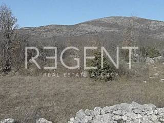 Screenshot 2023-07-20 at 15.05.20