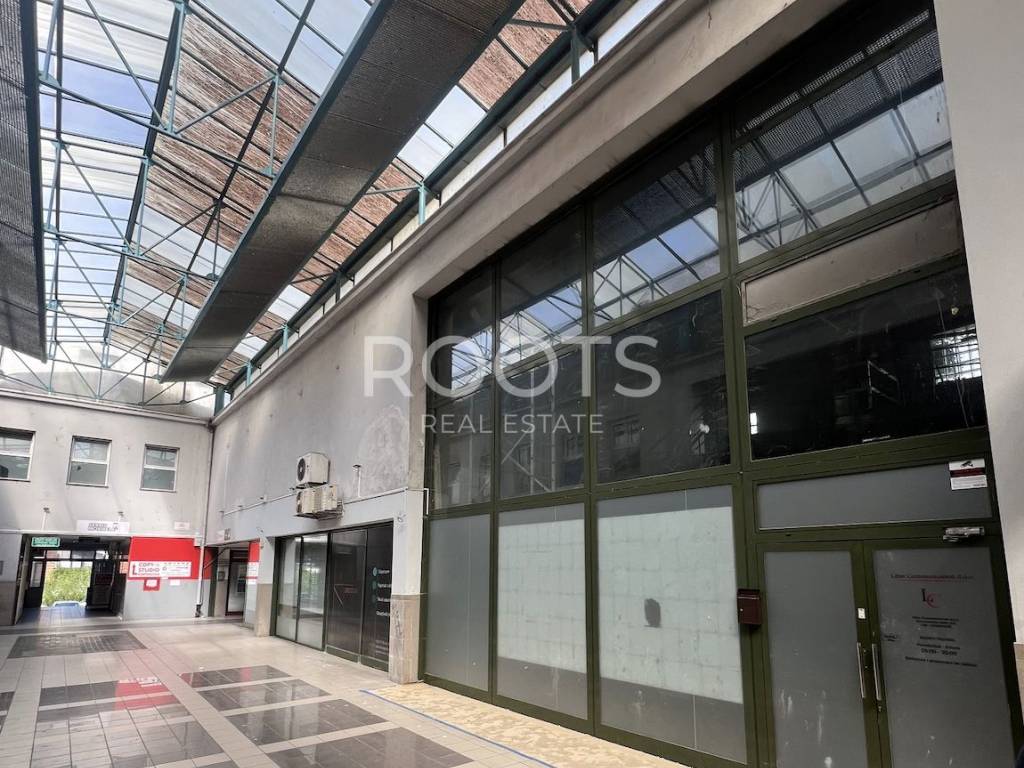 Zagreb, Tresnjevka - jug