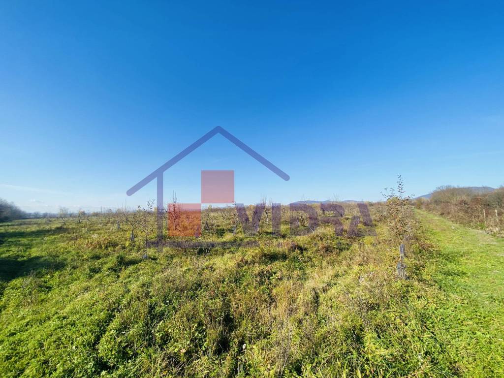 Jastrebarsko, Centar