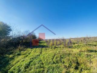 Jastrebarsko, Centar