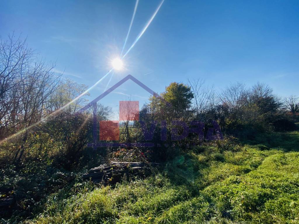 Jastrebarsko, Centar