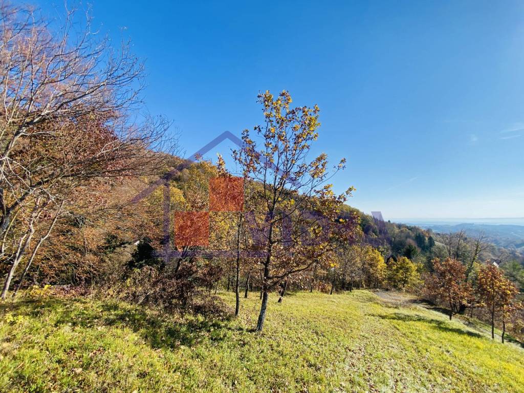 Jastrebarsko - Okolica, Sveta Jana