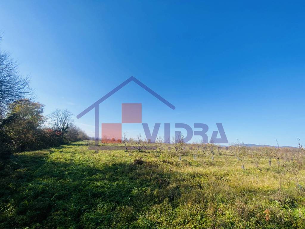 Jastrebarsko, Centar