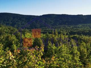 Zumberak, Gornji Ostrc