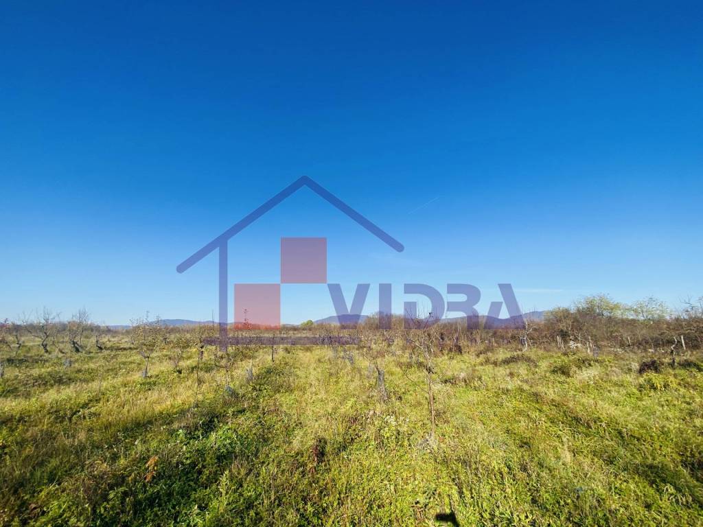 Jastrebarsko, Centar