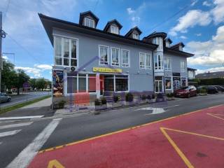 Jastrebarsko, Centar