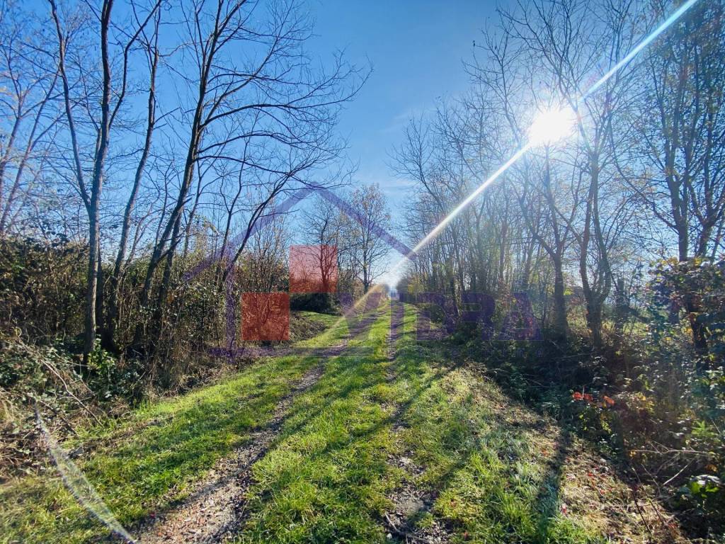 Jastrebarsko, Centar