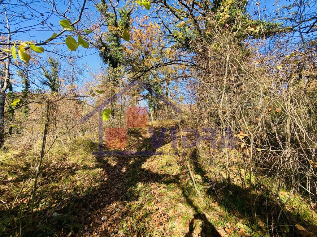 Jastrebarsko - Okolica, Sveta Jana