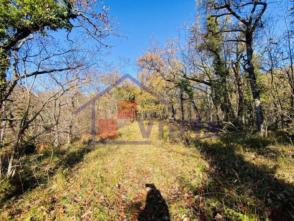 Jastrebarsko - Okolica, Sveta Jana