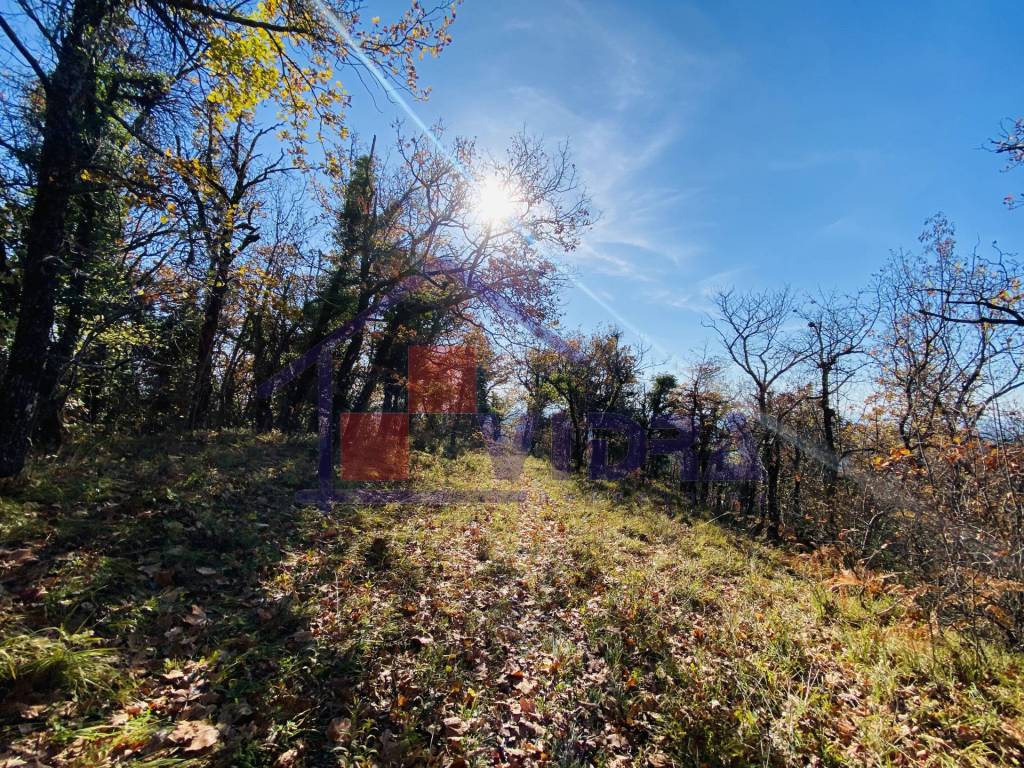 Jastrebarsko - Okolica, Sveta Jana