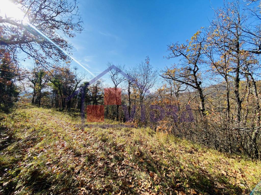 Jastrebarsko - Okolica, Sveta Jana