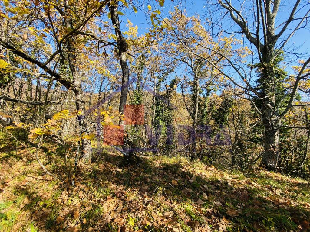 Jastrebarsko - Okolica, Sveta Jana