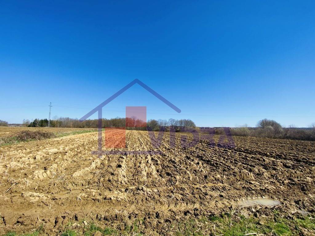 Poljoprivredno zemljiste, Prodaja, Klinca sela, Kupinec